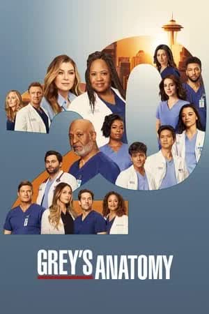 Grey's Anatomy Season 20 (2024) แพทย์มือใหม่ หัวใจเกินร้อย