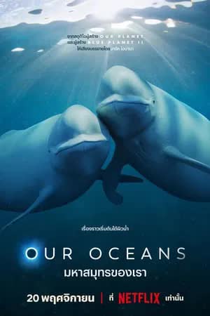 Our Oceans Season 1 (2024) มหาสมุทรของเรา [พากย์ไทย]