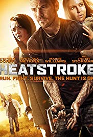 Heatstroke (2013) อีกอึดหัวใจสู้เพื่อรัก