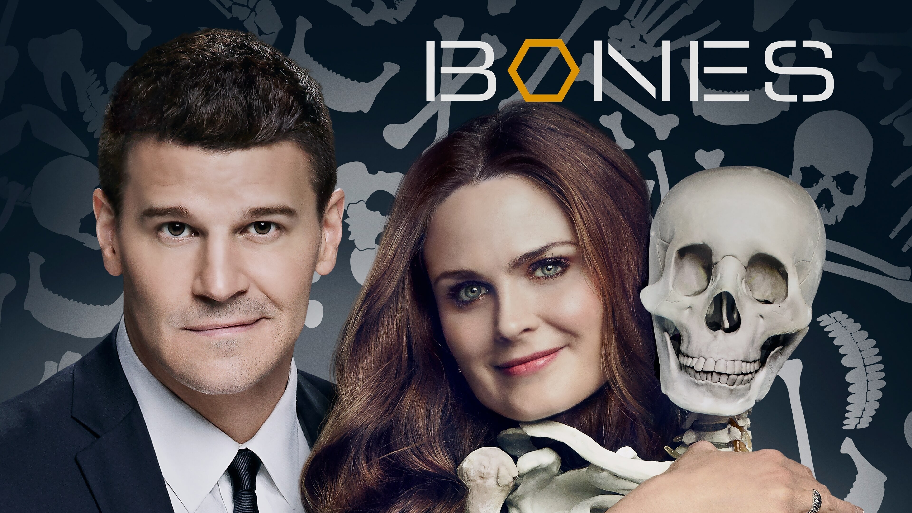 Bones Season 8 (2012) พลิกซากปมมรณะ ปี 8