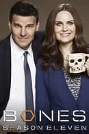 Bones Season 11 (2015) พลิกซากปมมรณะ ปี 11