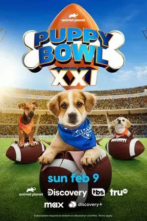 Puppy Bowl XXI (2025) [NoSub]