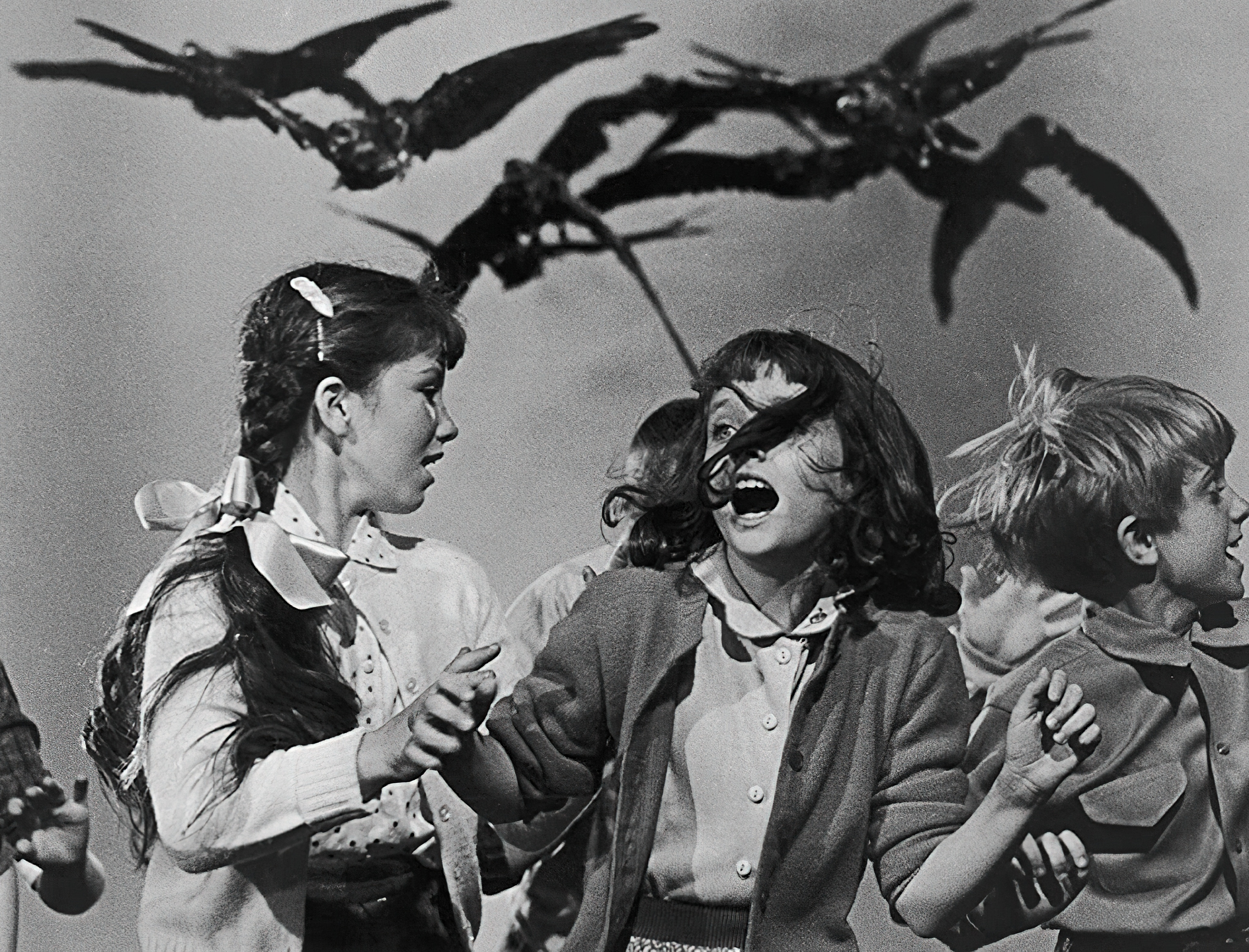 The Birds (1963)